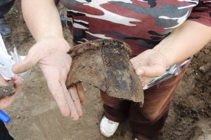 Більське городище (городище Гелон), Котельва